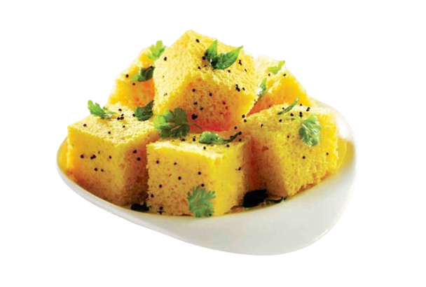 khaman_dhokla-removebg-preview